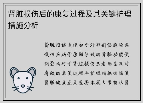 肾脏损伤后的康复过程及其关键护理措施分析