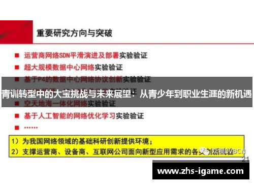 青训转型中的大宝挑战与未来展望：从青少年到职业生涯的新机遇