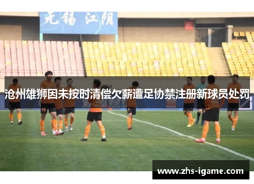 沧州雄狮因未按时清偿欠薪遭足协禁注册新球员处罚